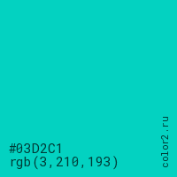 цвет #03D2C1 rgb(3, 210, 193) цвет