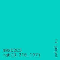 цвет #03D2C5 rgb(3, 210, 197) цвет