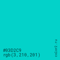 цвет #03D2C9 rgb(3, 210, 201) цвет