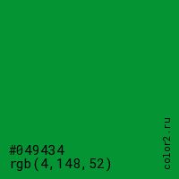 цвет #049434 rgb(4, 148, 52) цвет