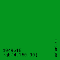 цвет #04961E rgb(4, 150, 30) цвет
