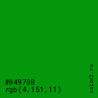 цвет #04970B rgb(4, 151, 11) цвет
