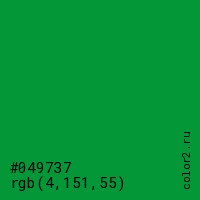 цвет #049737 rgb(4, 151, 55) цвет