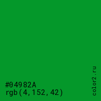цвет #04982A rgb(4, 152, 42) цвет
