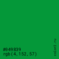 цвет #049839 rgb(4, 152, 57) цвет