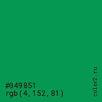 цвет #049851 rgb(4, 152, 81) цвет