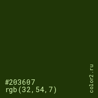 цвет #203607 rgb(32, 54, 7) цвет