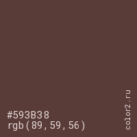 цвет #593B38 rgb(89, 59, 56) цвет