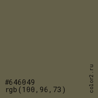цвет #646049 rgb(100, 96, 73) цвет