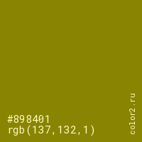 цвет #898401 rgb(137, 132, 1) цвет