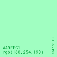 цвет #A0FEC1 rgb(160, 254, 193) цвет