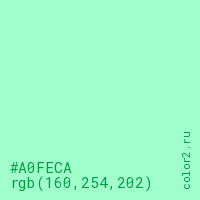 цвет #A0FECA rgb(160, 254, 202) цвет