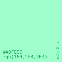 цвет #A0FECC rgb(160, 254, 204) цвет