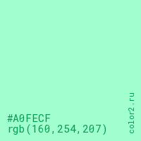 цвет #A0FECF rgb(160, 254, 207) цвет