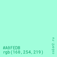 цвет #A0FEDB rgb(160, 254, 219) цвет