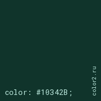 цвет css #10342B rgb(16, 52, 43)