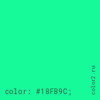 цвет css #18FB9C rgb(24, 251, 156)