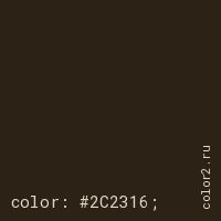 цвет css #2C2316 rgb(44, 35, 22)
