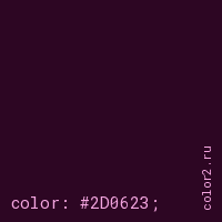 цвет css #2D0623 rgb(45, 6, 35)