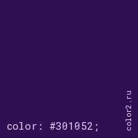 цвет css #301052 rgb(48, 16, 82)