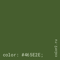 цвет css #465E2E rgb(70, 94, 46)