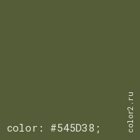 цвет css #545D38 rgb(84, 93, 56)