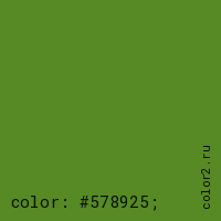 цвет css #578925 rgb(87, 137, 37)