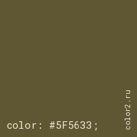 цвет css #5F5633 rgb(95, 86, 51)