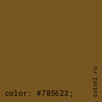 цвет css #785622 rgb(120, 86, 34)