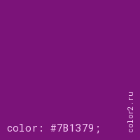 цвет css #7B1379 rgb(123, 19, 121)