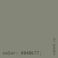 цвет css #848677 rgb(132, 134, 119)