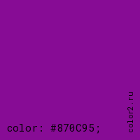 цвет css #870C95 rgb(135, 12, 149)