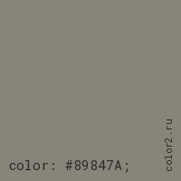 цвет css #89847A rgb(137, 132, 122)