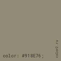цвет css #918E76 rgb(145, 142, 118)