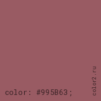 цвет css #995B63 rgb(153, 91, 99)