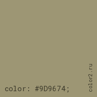 цвет css #9D9674 rgb(157, 150, 116)
