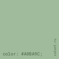 цвет css #A0BA9C rgb(160, 186, 156)