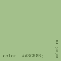 цвет css #A3C08B rgb(163, 192, 139)