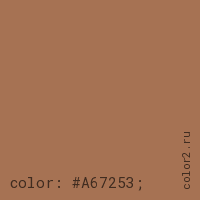 цвет css #A67253 rgb(166, 114, 83)