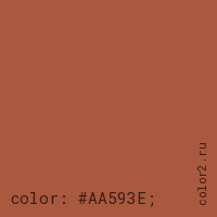 цвет css #AA593E rgb(170, 89, 62)