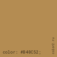 цвет css #B48C52 rgb(180, 140, 82)
