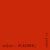 цвет css #CA2808 rgb(202, 40, 8)