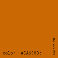 цвет css #CA6903 rgb(202, 105, 3)