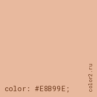 цвет css #E8B99E rgb(232, 185, 158)